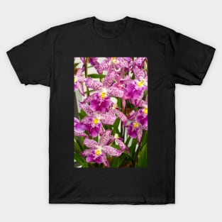 Purple Leopard Orchids T-Shirt